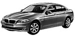 BMW F10 P00A0 Fault Code